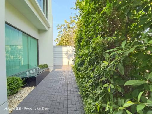 Paved pathway leading to the entrance of a modern house with garden