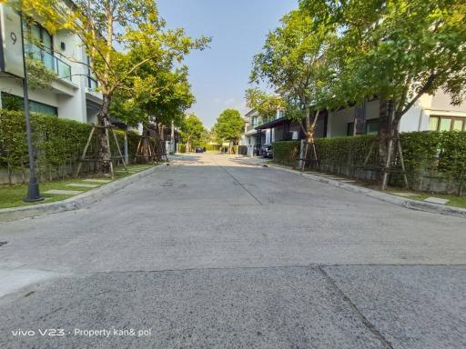 Residential street with modern houses and lush green trees