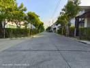 Paved street view with residential homes and greenery under clear skies