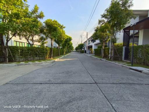 Paved street view with residential homes and greenery under clear skies