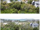 Panoramic view overlooking a tropical area with lush greenery and distant buildings