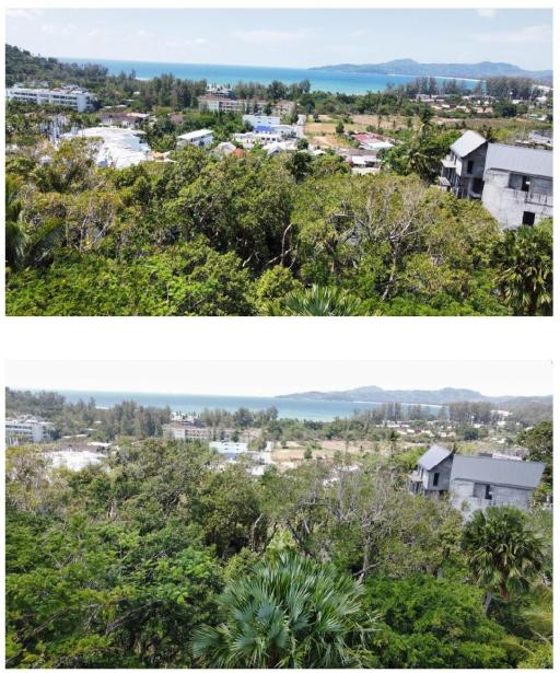Panoramic view overlooking a tropical area with lush greenery and distant buildings