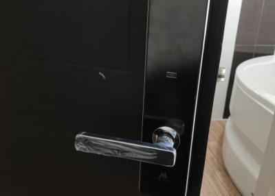 Modern bathroom door with stainless steel handle