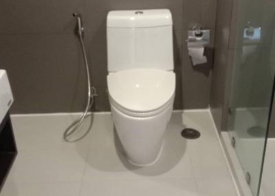 Modern bathroom with ceramic toilet and tiled walls