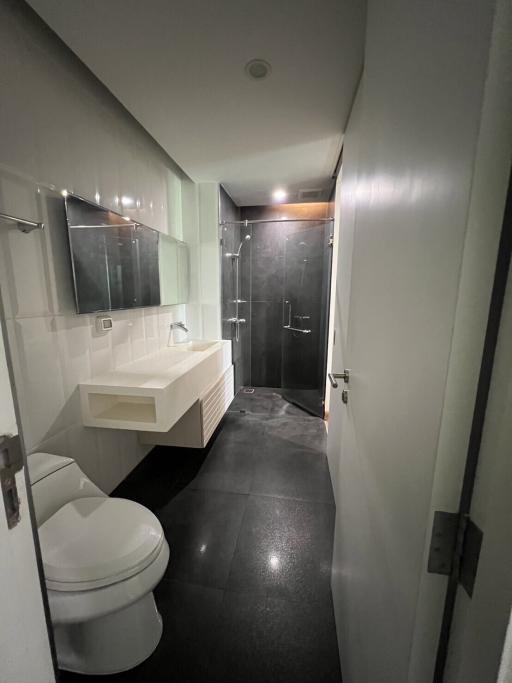 Modern bathroom interior with a shower, sink, and toilet