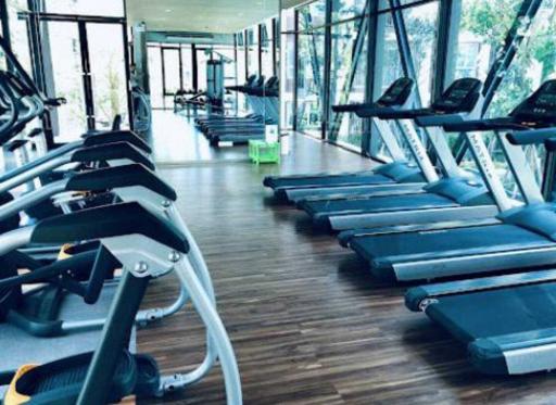 Modern gym facility with cardio equipment and large windows in a residential building