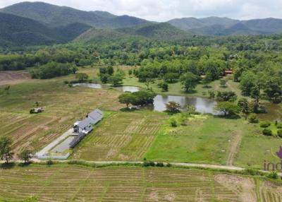 Beautiful 48 rai 3 ngan property with beautiful view of lakes and hills in a lovely, peaceful area only 30 min from Chiang Mai city.