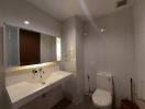 Modern bathroom interior with large mirror and white fixtures