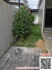 Paved outdoor pathway with plants along the side of a house