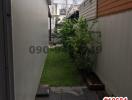 Narrow outdoor passageway with green plants and pathway leading to a house