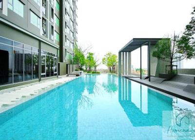 Swimming pool with lounge area in modern residential building