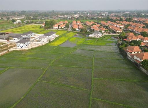 Over 7 Rai of Land for Sale in a Fantastic Location in San Sai, Chiang Mai