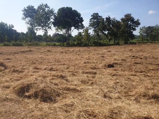 Plots of Land for Sale in Nam Prae Hang Dong Nearby Mae Hia Market