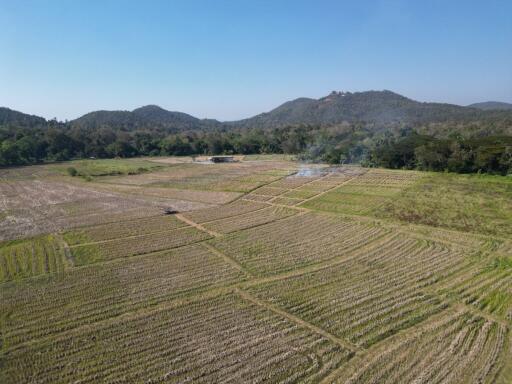 7 Rai of Land with Incredible Views for Sale in Doi Saket Chiang Mai