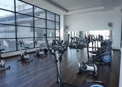 Modern gym with cardio equipment and large windows