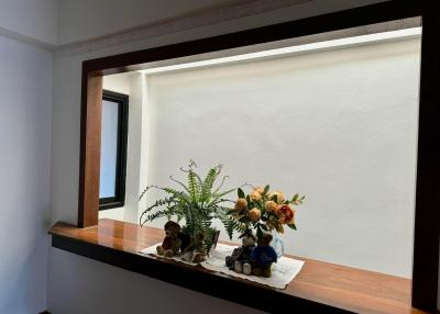 Interior decorative window sill with plants and ornaments
