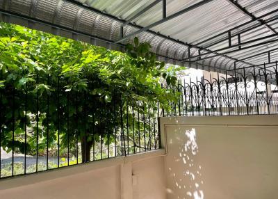 Sunny balcony with green foliage and protective roofing