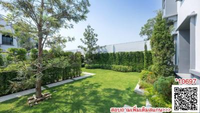 Well-maintained green lawn with trees and hedge in a residential property