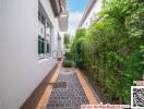 Paved pathway along the side of a modern house with greenery