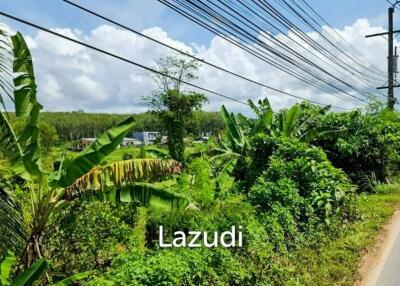 Prime 15,828. SQ.M. Land For Sale In Bang Jo, Phuket