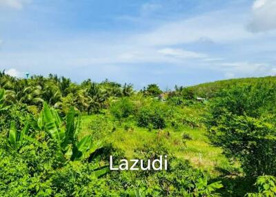 Prime 15,828. SQ.M. Land For Sale In Bang Jo, Phuket