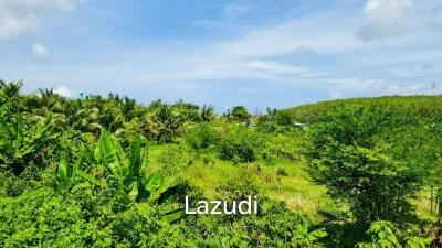 Prime 15,828. SQ.M. Land For Sale In Bang Jo, Phuket