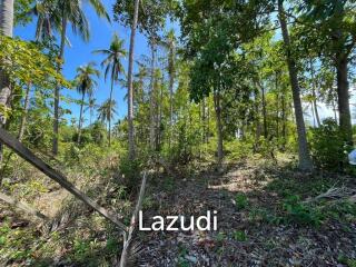 1,600 SQ.M Flat land in bangrak Area