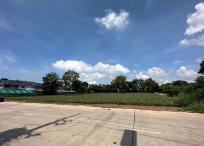 Paved road leading to a property with surrounding greenery under a clear blue sky