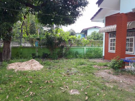 Residential house backyard with green lawn and trees