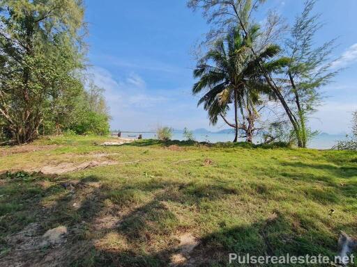 Absolute Beachfront Land for Sale on Koh Yao Yai, Phang Nga