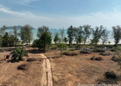 Absolute Beachfront Land for Sale on Koh Yao Yai, Phang Nga