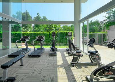 Home gym with exercise equipment and large windows overlooking greenery