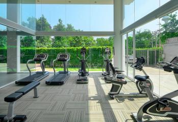 Home gym with exercise equipment and large windows overlooking greenery