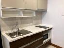 Modern kitchen with stainless steel sink and built-in microwave