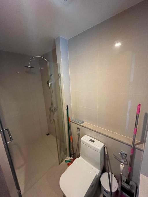 Compact modern bathroom with shower and toilet