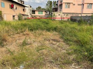 Overgrown vacant lot with wild grass and surrounding houses