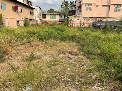 Overgrown vacant lot with wild grass and surrounding houses