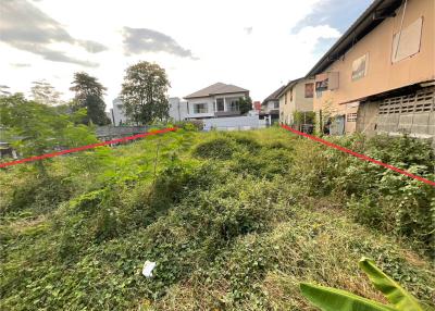 Overgrown plot of land with potential for development near residential buildings