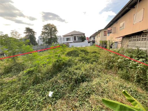 Overgrown plot of land with potential for development near residential buildings