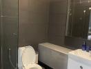 Modern bathroom with glass shower enclosure and dark tiles