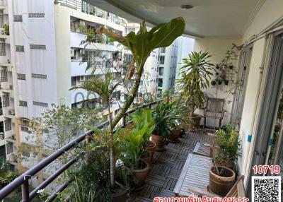 Spacious balcony with lush plants and wooden decking