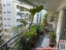 Spacious balcony with lush plants and wooden decking