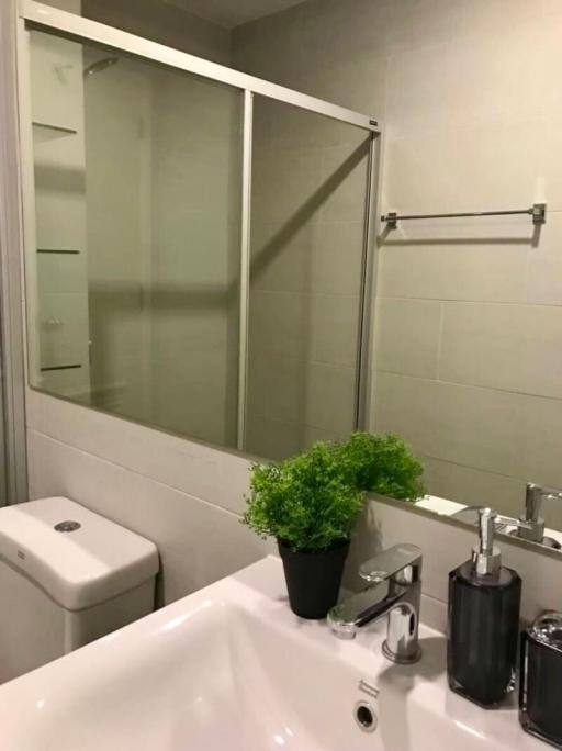 Modern bathroom with glass shower and greenery
