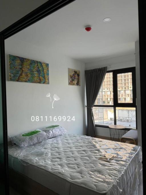 Cozy bedroom with ample natural light and modern decor