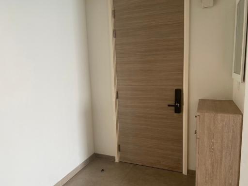 Modern wooden door in an empty room with white walls and beige floor