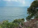 Ocean view from coastal property with trees