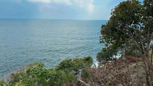 Ocean view from coastal property with trees