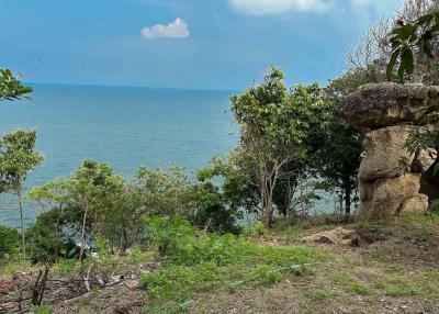 Coastal view from the property showing the ocean and surrounding greenery