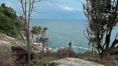 Seaside view with rocky cliff and lush trees