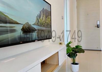 Minimalist living room interior with mounted television and decorative plant